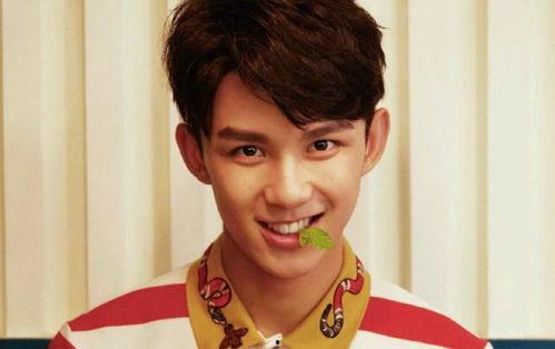 娱乐吃瓜君三石弟弟